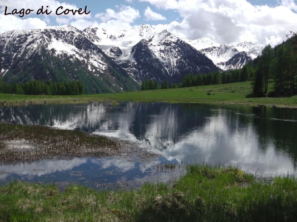 Camping Val Di Sole Peio Ngoại thất bức ảnh