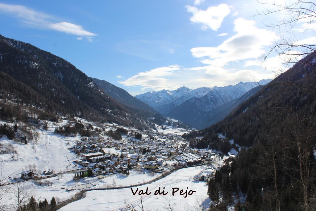 Camping Val Di Sole Peio Ngoại thất bức ảnh