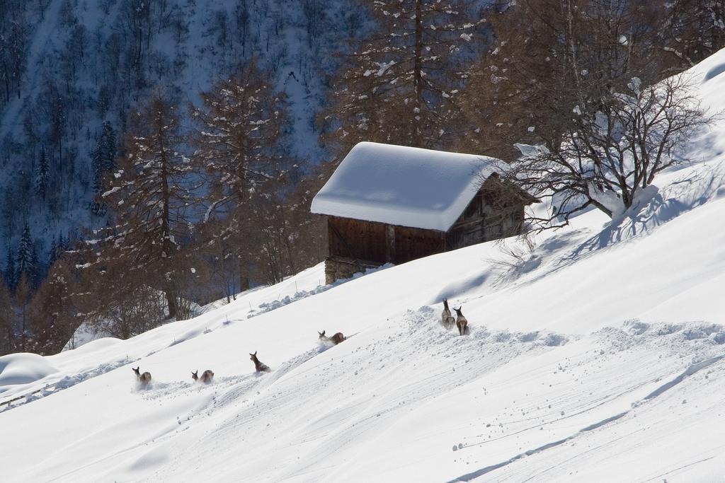 Camping Val Di Sole Peio Ngoại thất bức ảnh